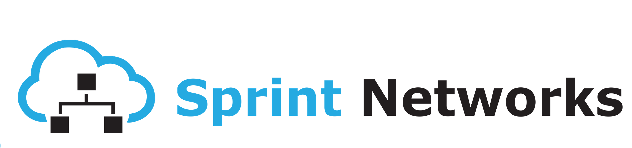 Sprint Networks